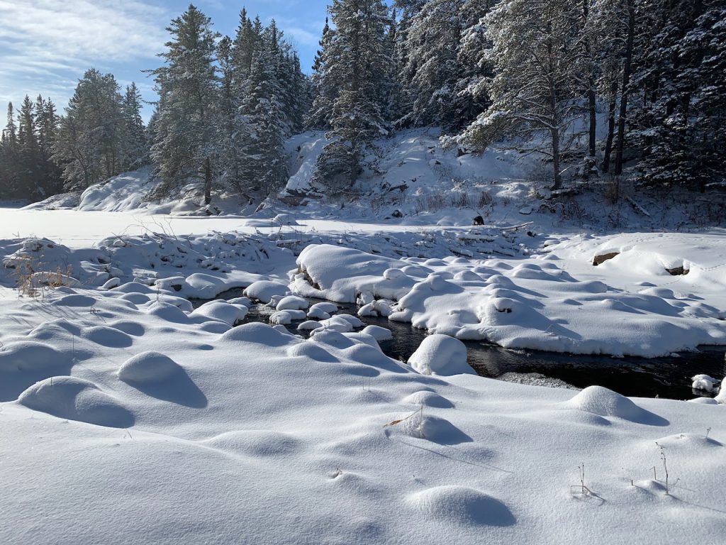 Winter scene with a creek, fresh snow and coniferous trees. 